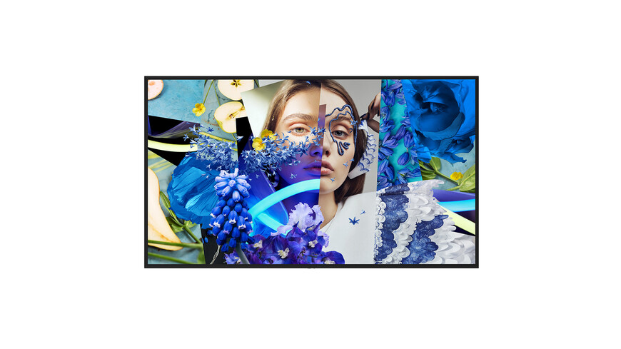 Hikvision DS-D6055UN-DP