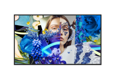 Hikvision DS-D6055UN-DP